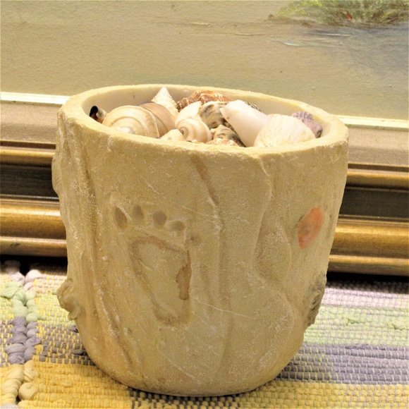 Accents Container Full Of Sea Shells Poshmark